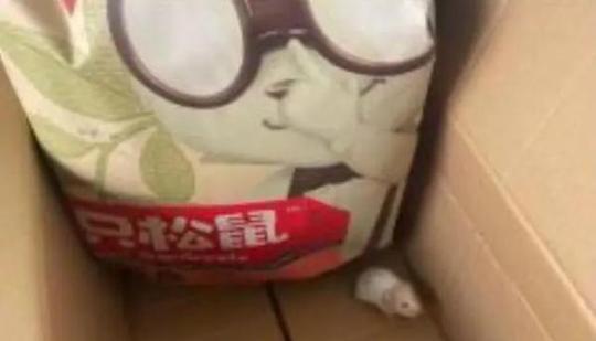 三只松鼠零食箱里出现仓鼠?官方回应了