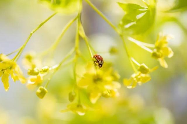 最暖心的早安祝福语