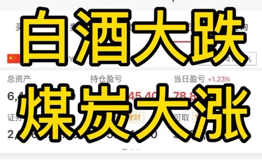 10.18午评:白酒大跌怎么办，煤炭大涨还能继续追嘛!