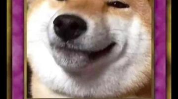 色色动态图李毅吧18期表情包