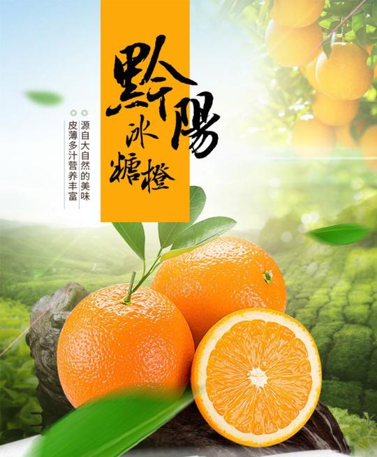 袁隆平推介湖南黔阳冰糖柑冰糖橙