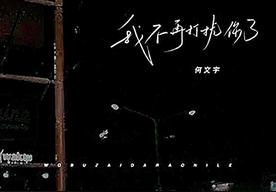 我不再打扰你了(何文宇)