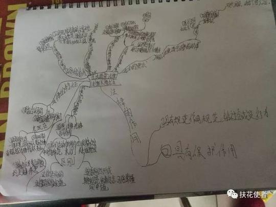 思维导图|部编版道德与法治七年级下第九课优秀寒假作业思维导图精选