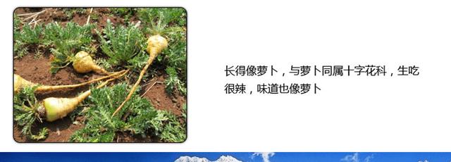 20款补肾煲汤食谱 20款补肾煲汤食谱