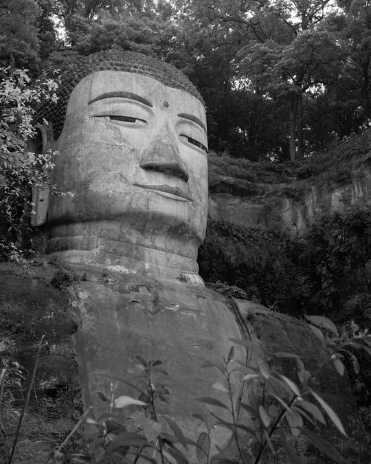 佛禅龙-富贵加菲猫-图虫网-优质摄影师交流社区