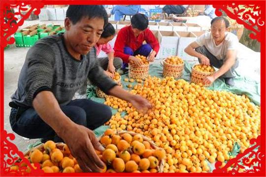 2020疫情之后，农村干什么生意的收入最高呢?这几个方面