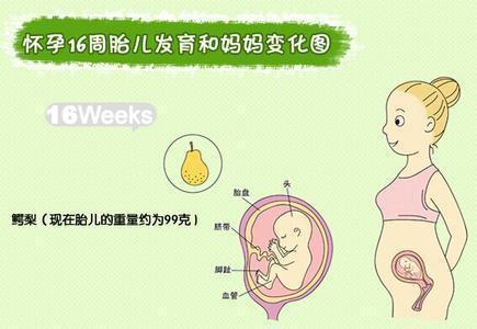 二胎怀孕四个月有胎动吗