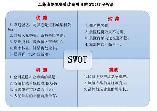 创业swot分析