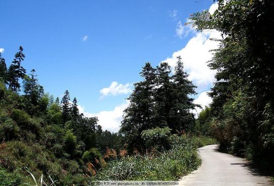 通往天边的路林间小路道路村道蓝天白云山川松树杉树