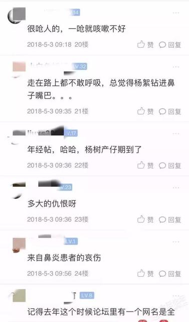 杨絮过敏怎么办