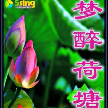 梦醉荷塘昆明市的长尾关键词有什么