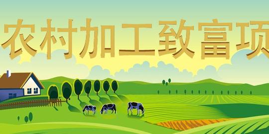 农村加工致富项目,农村加工创业项目等一大批致富好项目,等着你来发现