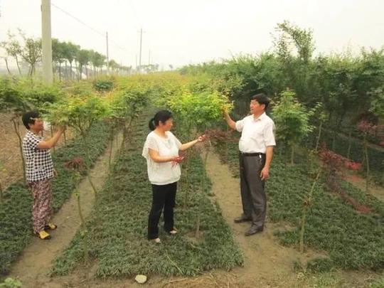 村里企业少,如何带领村民脱贫致富?这位村主任的办法