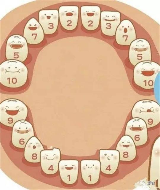 一岁宝宝长牙发烧怎么办