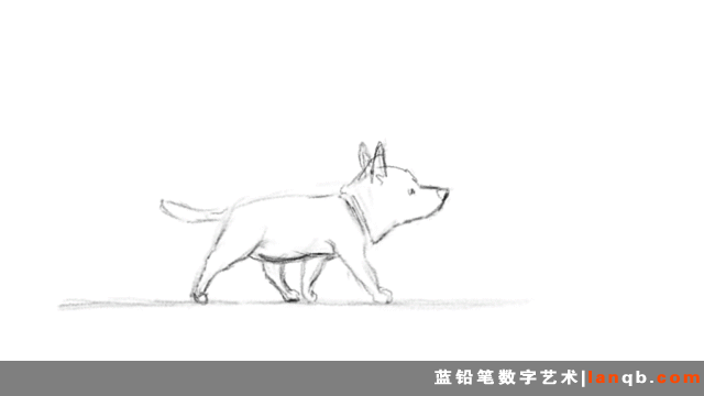 一条温馨短片背后