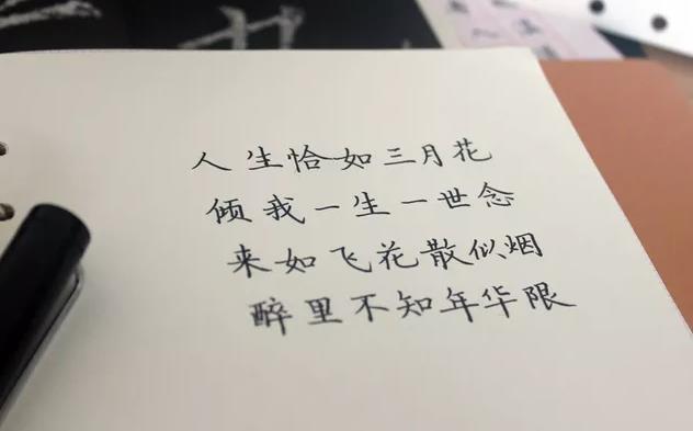 电视剧《一生一世》经典台词句子