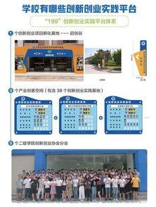 创新创业这一课的观后感