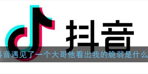 抖音遇见了一个大哥他看出我的脆弱是什么歌