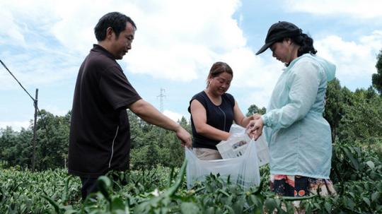 毕节金沙:300多成功人士返乡创业巩固脱贫攻坚成效