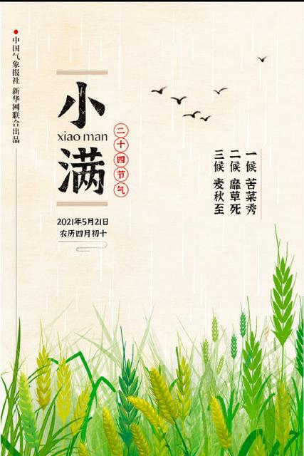 520撞上小满发朋友圈的句子