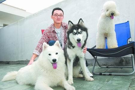 小伙自主创业大学毕业回家养狗(图)