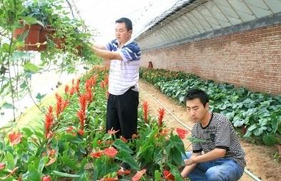 创业故事:大学生种菜10年赚取百万家产