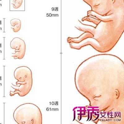 怀孕八个月就有奶正常吗
