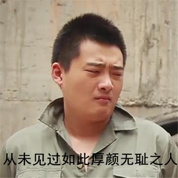 从未见过这么不要脸的人表情包