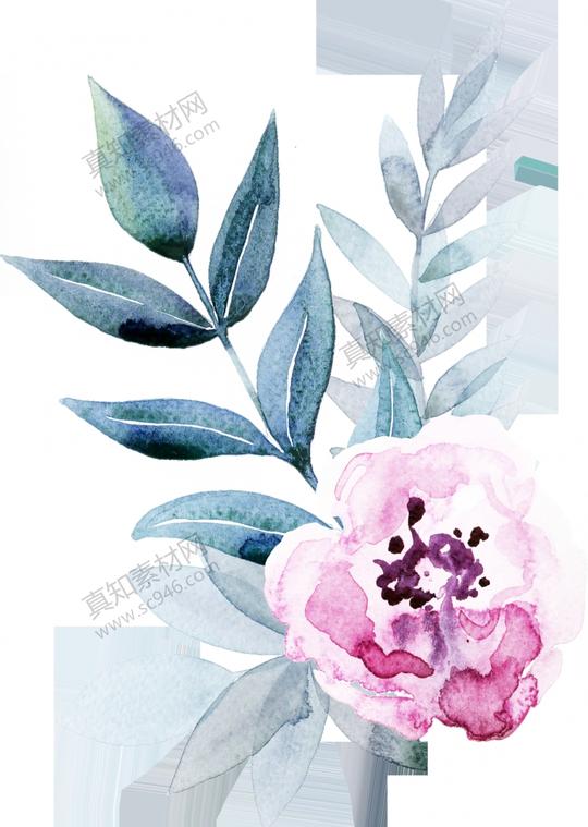 树枝树叶花朵素材