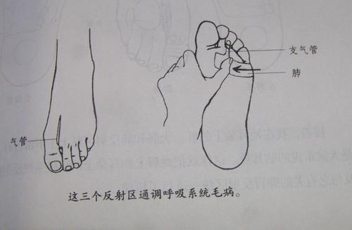 孩子为什么会得哮喘