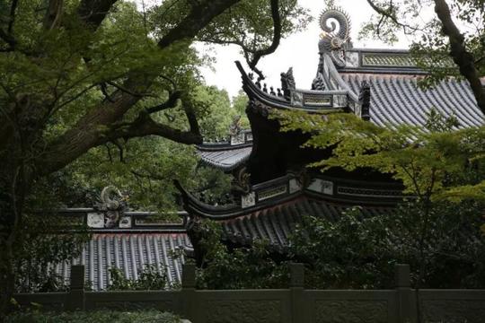 法雨寺古木参天,环境清幽,是普陀山最独特的寺院