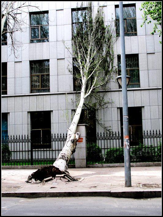 六一的亲密接触.jpg