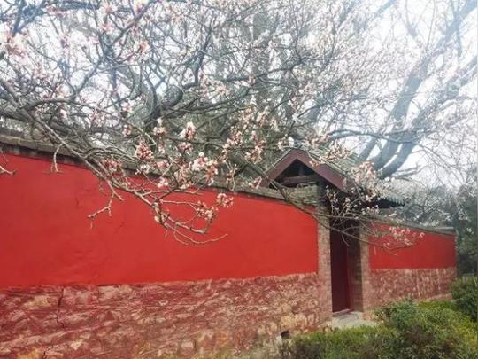 莒县浮来山景区万物生长此时皆清洁而明净