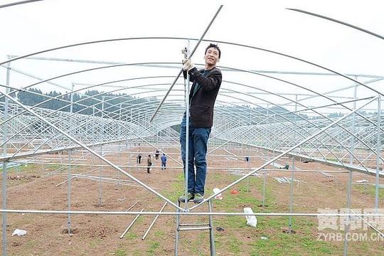 返乡创业乐至小伙郎小红投资200万元建温室大