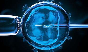 谁可能不适合 IVF