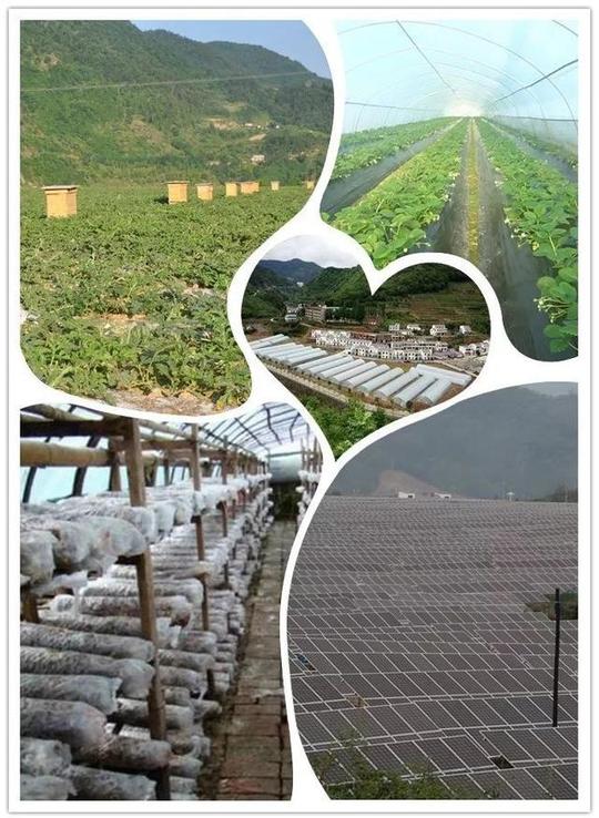 微新闻|脱贫攻坚，竹溪铿锵前行!