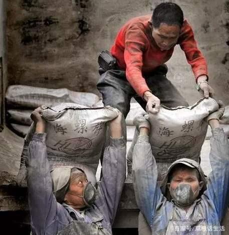 农业致富非常困难视频(美人主意的暴利行业)