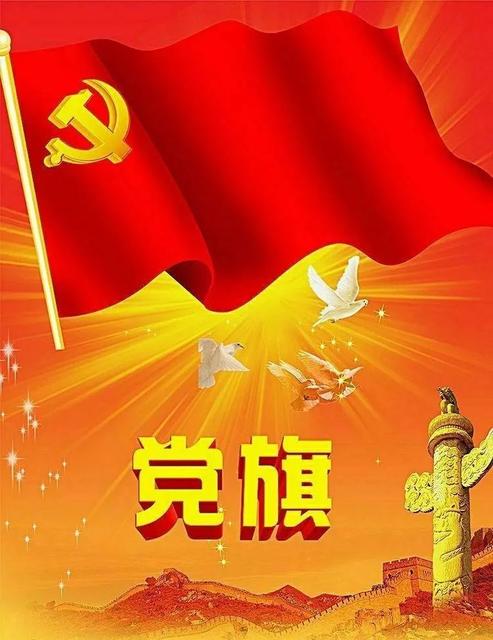 2021庆祝建党100周年的作文