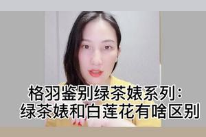 绿茶婊和白莲花是什么意思 绿茶和白莲花啥区别 茶百科