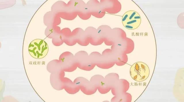 医生忠告：5种早餐要少吃，孩子越吃越虚弱，家长却经常给孩子买