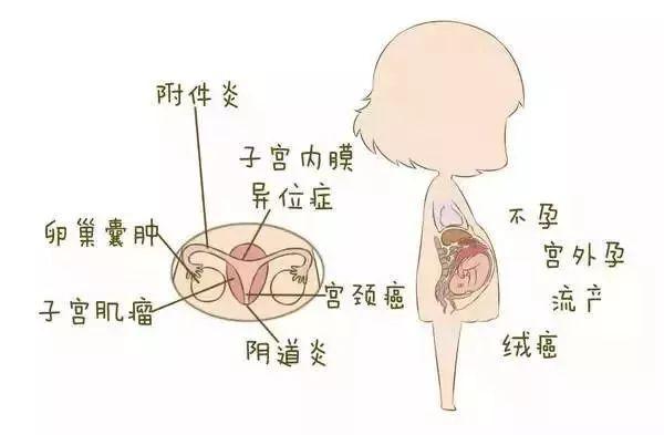 吃补佳乐能提高受孕几率吗