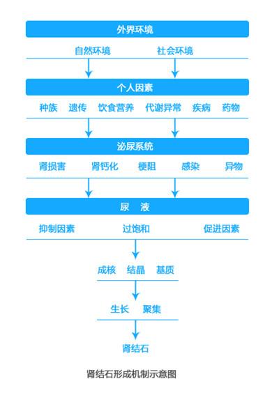宝宝过量补钙会致肾结石吗