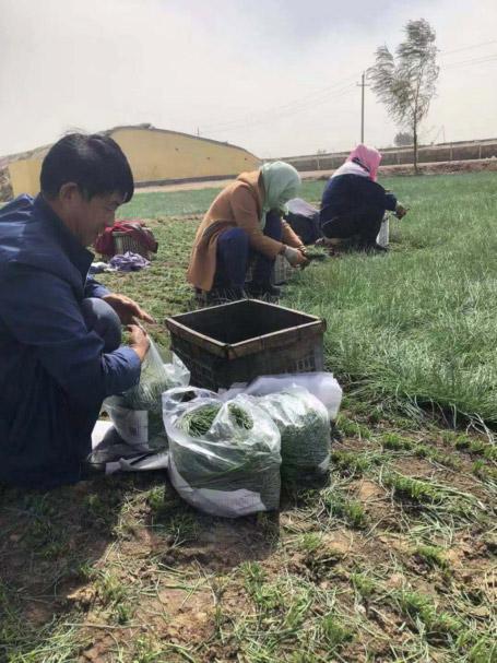 农村创新创业专家辅导,农业生产经营管理能力,职业农民典型经验分享等