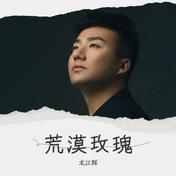 荒漠玫瑰(龙江辉)