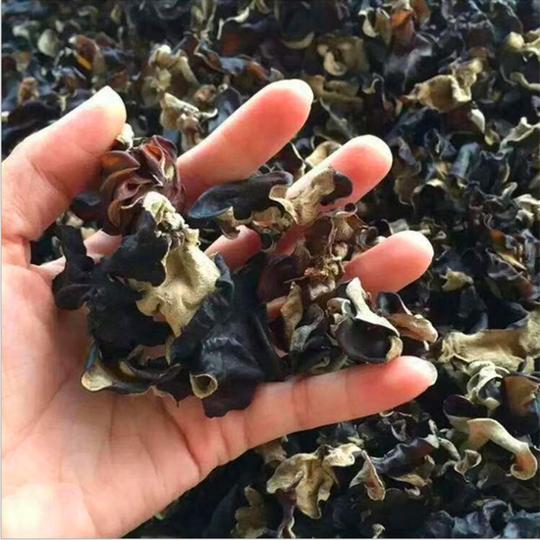 江湖地摊小木耳东北小片黑木耳地摊热卖货源跑江湖地摊暴利产品