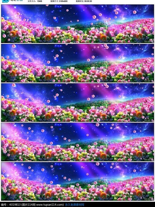 唯美梦幻意境花海星空高端婚礼led背景视频素材