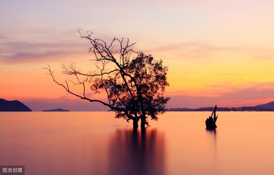 这些古诗词里的“海”，指的是经历、人生、世界，你大概都会背诵
