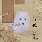 白狐(小阿枫)
