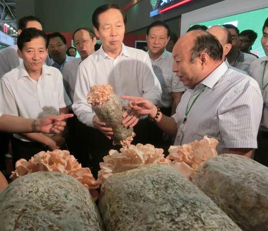 安徽省委原书记关心和重视残疾人丁伦保利用秸秆种植食用菌