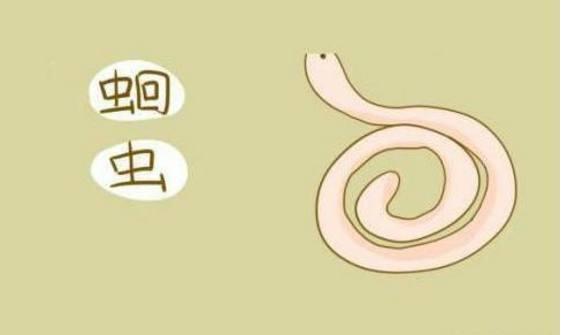 小孩肚子里长蛔虫有什么症状